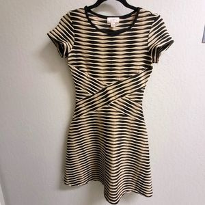 Loft petite fit and flare dress